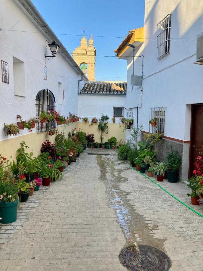 Apartamento Nuevo En Sierra Sur Sevilla Villanueva de San Juan المظهر الخارجي الصورة